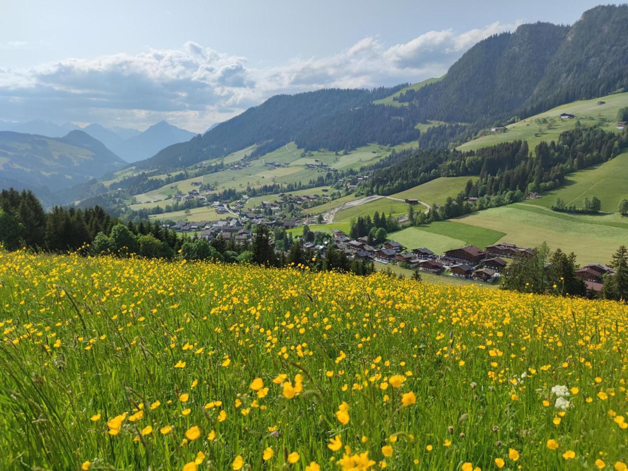 Chalet Mountain View Alpbach Eksteriør bilde
